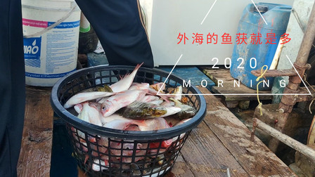 南澳岛赶海日记 彪哥在外海捕鱼的第六天，外海的渔获就是多，两天一夜卖了5千多块