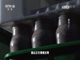 走近科学 《走近科学》 20170315 创新中国 蘑菇工厂