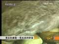 致富经 致富经 2009年 第161期