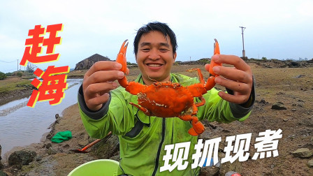 小伙差点被螃蟹夹中要害，上岸直接炖一锅螃蟹，太鲜甜了！