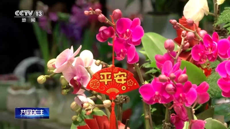 共同关注 《共同关注》 20230119