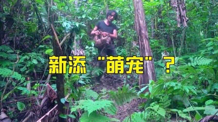 原始丛林人苏门答腊 第二季 新添“萌宠”，一个人在丛林荒野求生不再孤单