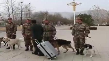 第一军视 第一季 老兵退伍两行泪，军犬凝望通人情！