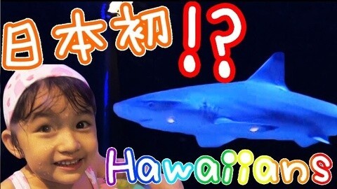 【中国爸爸】日本食玩 游泳池惊现鲨鱼
