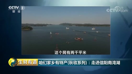 生财有道 《生财有道》 20181026 咱们家乡有特产（秋收系列）：走进信阳南湾湖