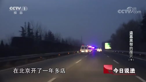 今日说法 《今日说法》 20190724 盗墓黑帮的覆灭（下）