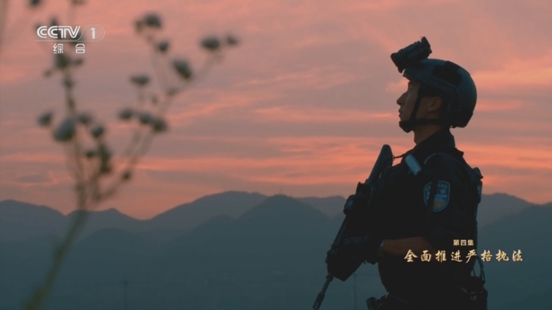 《习近平法治思想系列讲读》 第4集 全面推进严格执法