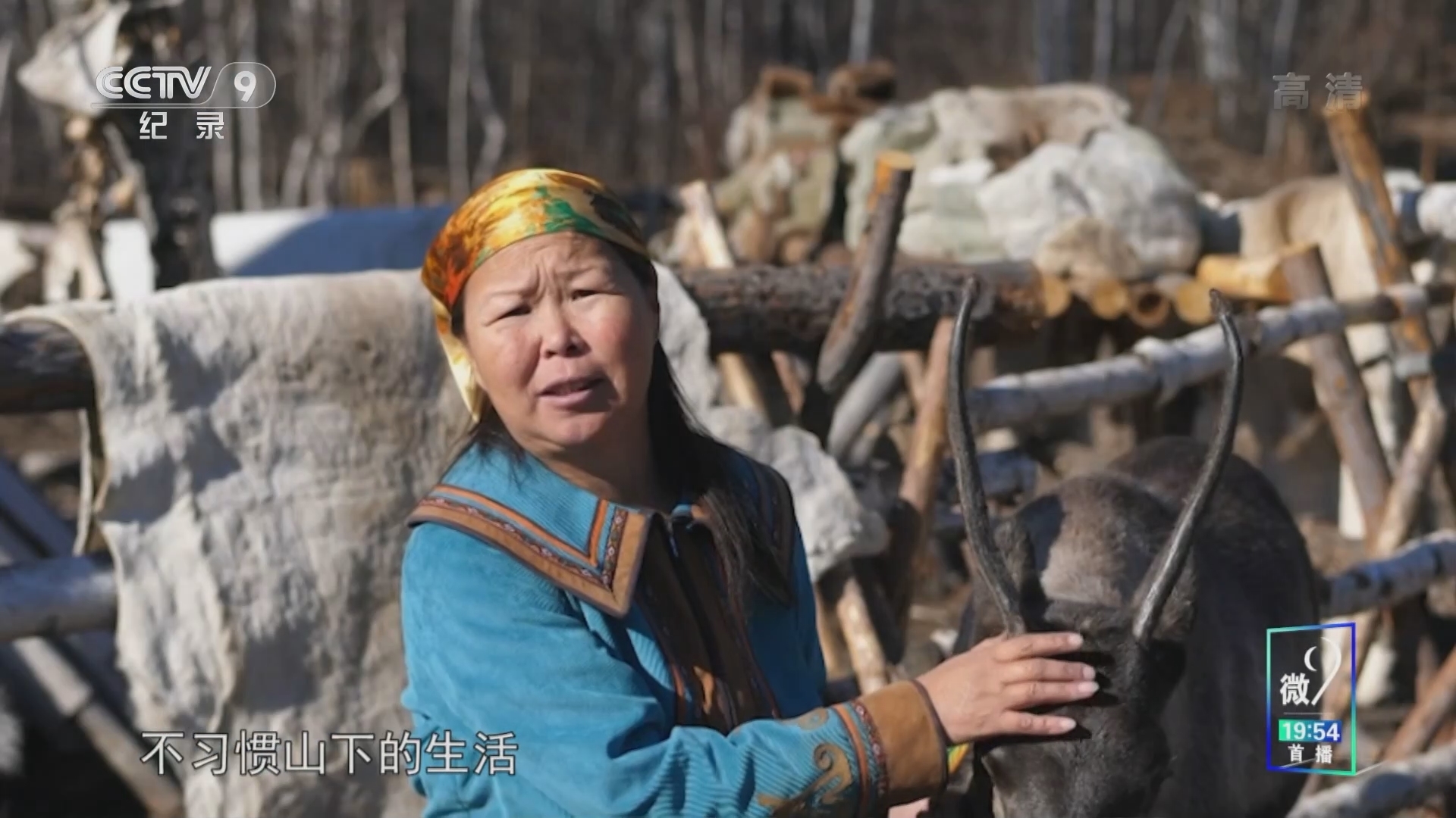 看秋天第二季 《看秋天》第二季 守望驯鹿