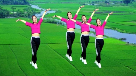蓝莓思洁广场舞 快乐健身舞步《美丽的草原我来了》