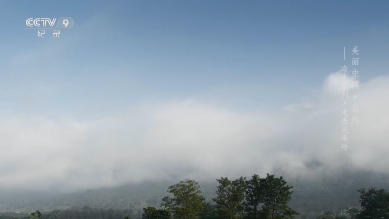 《美丽中国 自然——海南系列》 第2集 走进尖峰岭