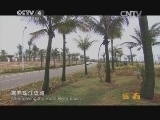 远方的家 江河万里行 第45集 南渡江 江河入海口《远方的家》 20140627