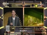 我爱发明 《我爱发明》 20171219 蛇鸟护卫队