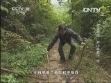 地理中国 《地理中国》 20130907 地球家园-莽山寻蛇记 中