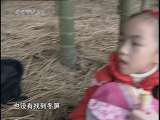 芝麻开门【央视】 冬季话冬笋