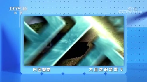 地理中国 《地理·中国》 20200214 大自然的奇景 5