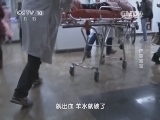 走近科学 《走近科学》 20140514 巴掌宝宝