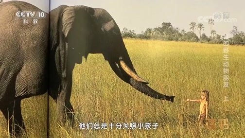 读书 《读书》 20190721 蒂皮·德格雷 《我的野生动物朋友》 我的野生动物朋友（上）