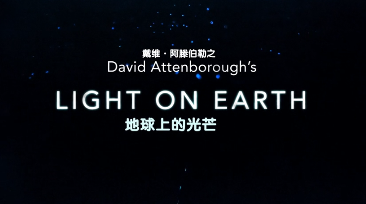 大卫·爱登堡之地球上的光芒