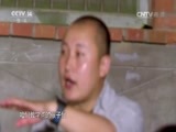 绿野寻踪 《绿野寻踪》 20160928
