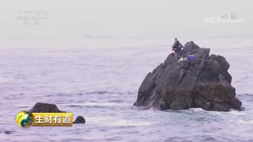 生财有道 《生财有道》 20190401 话说获得感 浙江舟山：生态沿海 幸福满满