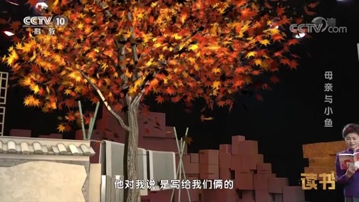 读书 《读书》 20181014 严歌苓 母亲与小鱼