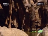 人与自然 《人与自然》 20160527 飞越彩虹——踏上征程（下）