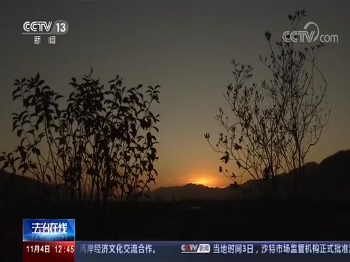 法治在线 《法治在线》 20191104