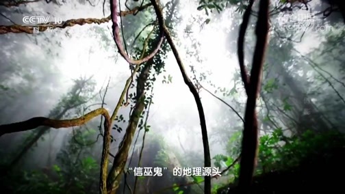 地理中国 《地理中国》 20190501 五一特别节目·狮舞傩影