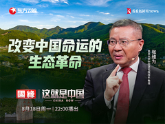 这就是中国 改变中国命运的生态革命