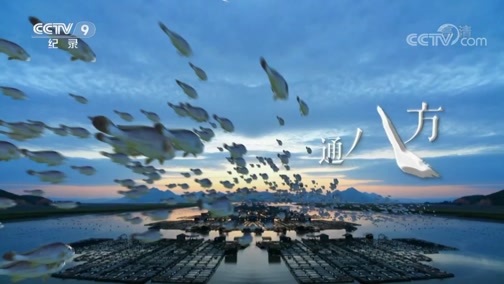 《海上福建》 第六集 海丝古今