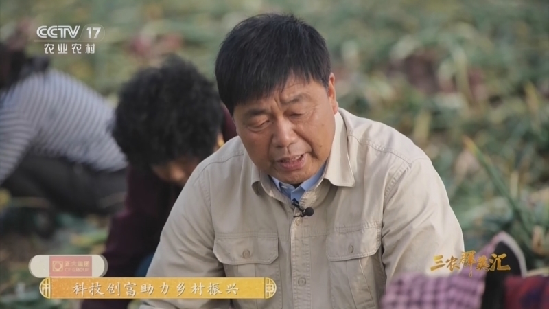 三农群英汇 《三农群英汇》 20260519 小洋葱 大产业
