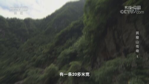 地理中国 《地理·中国》 20200805 武陵山传奇1