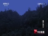 今日说法 《今日说法》 20141114 死亡峡谷
