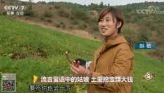 致富经 [致富经]流言蜚语中的姑娘 土里挖宝赚大钱 20181224