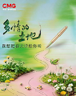 多情的土地2026 海报
