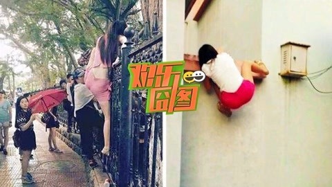 欢乐囧图 【欢乐囧图】彪悍妹子翻墙发生意外