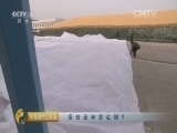 中国财经报道 《中国财经报道》 20160502 压仓玉米怎么销？