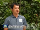 新闻联播 《新闻联播》 20170820 19:00