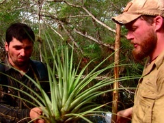 求生一加一第五C季(Dual Survival (Season 5C))第7集