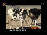 共产党员 《共产党员》 20150529