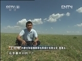 生财有道 《生财有道》 20121022 “点草成金”的秘密