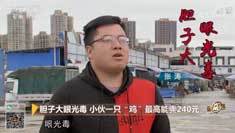 致富经 [致富经]胆子大眼光毒 小伙一只“鸡”最高能卖240元 20190110