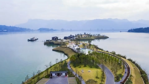 1818黄金眼 1818黄金眼20201231