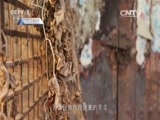 军事纪实 《军事纪实》 20160202 烈士亲人 您还好吗——访战斗英雄李海欣烈士亲人
