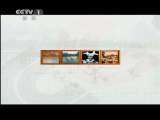西藏文化之旅 第2集 唐卡 [中华民族]20110613