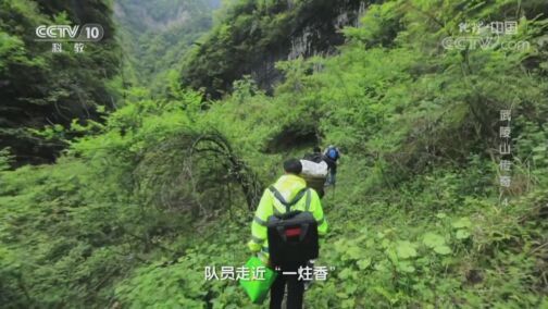 地理中国 《地理·中国》 20200808 武陵山传奇4