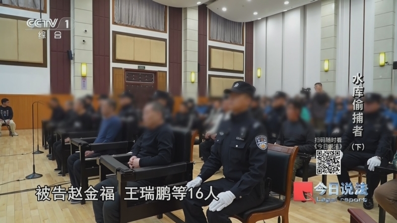 今日说法 《今日说法》 20240512 水库偷捕者（下）