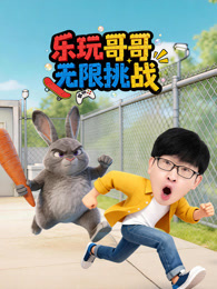 乐玩哥哥无限挑战