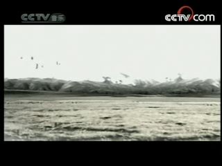 民歌&middot;中国 民歌·中国 2008年 第102期