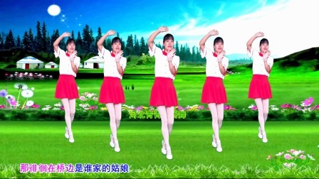 网红热歌DJ广场舞《谁家的姑娘》动感好看